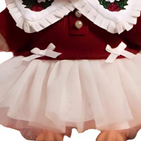 Pop Mart Blind Box Custom Pink Red Dresses
